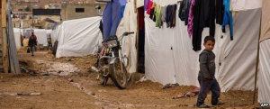 Leia mais sobre o artigo Conflito na Síria: WFP suspende ajuda para refugiados