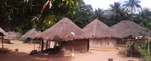 Read more about the article Guiné-Bissau: dons e ideias a serviço da mudança