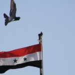 Síria: 5 anos de conflito