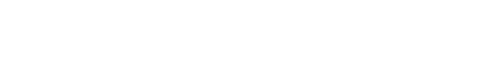 logo-the-voice-of-martyrs-white