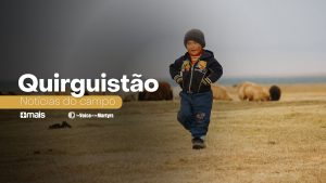 Leia mais sobre o artigo Quirguistão |Cristã lê a Bíblia escondida enquanto cuida de ovelhas.